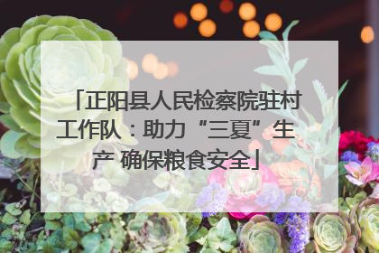正阳县人民检察院驻村工作队：助力“三夏”生产 确保粮食安全