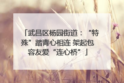 武昌区杨园街道：“特殊”踏青心相连 架起包容友爱“连心桥”