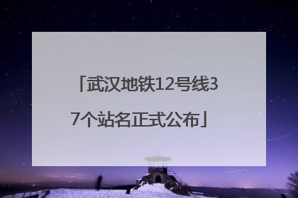 武汉地铁12号线37个站名正式公布