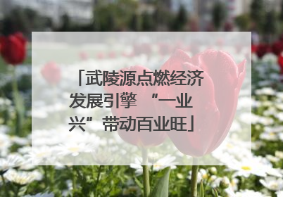 武陵源点燃经济发展引擎 “一业兴”带动百业旺