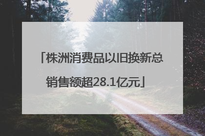 株洲消费品以旧换新总销售额超28.1亿元