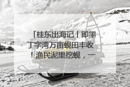 桂东出海记丨即墨丁字湾万亩蚬田丰收！渔民泥里挖蚬，一天上岸过千斤