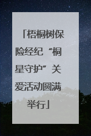 梧桐树保险经纪“桐星守护”关爱活动圆满举行