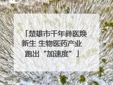 楚雄市千年彝医焕新生 生物医药产业跑出“加速度”