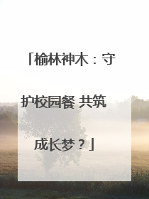 榆林神木：守护校园餐 共筑成长梦？