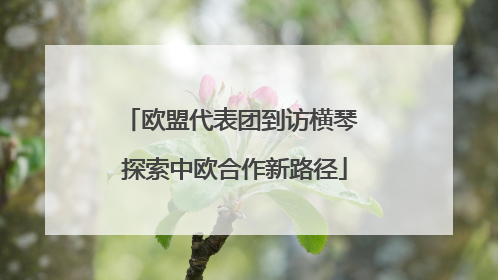 欧盟代表团到访横琴 探索中欧合作新路径