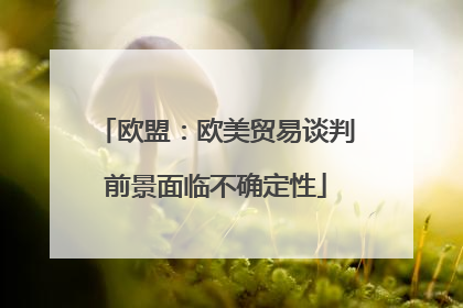 欧盟：欧美贸易谈判前景面临不确定性