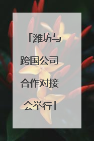 潍坊与跨国公司合作对接会举行