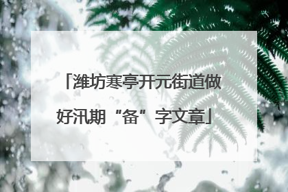 潍坊寒亭开元街道做好汛期“备”字文章