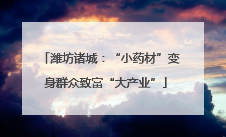 潍坊诸城：“小药材”变身群众致富“大产业”