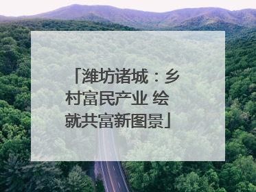 潍坊诸城：乡村富民产业 绘就共富新图景