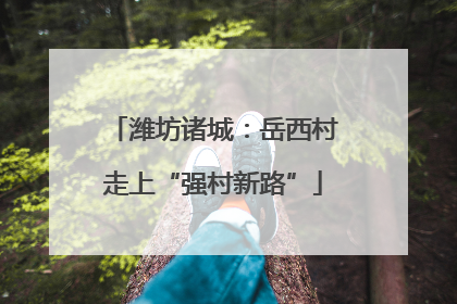 潍坊诸城：岳西村走上“强村新路”