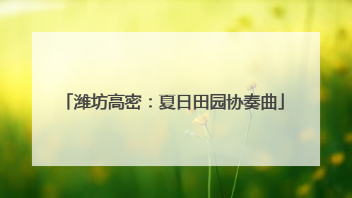 潍坊高密：夏日田园协奏曲