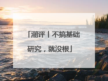 潮评丨不搞基础研究，就没根