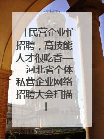 民营企业忙招聘，高技能人才很吃香——河北省个体私营企业网络招聘大会扫描