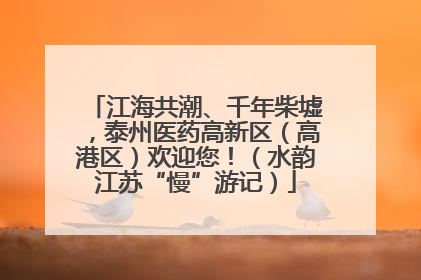 江海共潮、千年柴墟，泰州医药高新区（高港区）欢迎您！（水韵江苏“慢”游记）