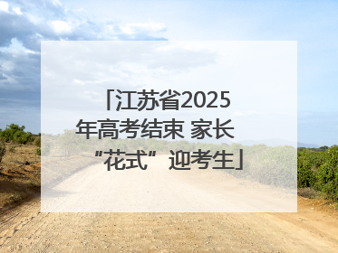 江苏省2025年高考结束 家长“花式”迎考生