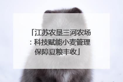 江苏农垦三河农场：科技赋能小麦管理保障夏粮丰收