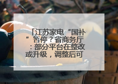 江苏家电“国补”暂停？省商务厅：部分平台在整改或升级，调整后可正常使用