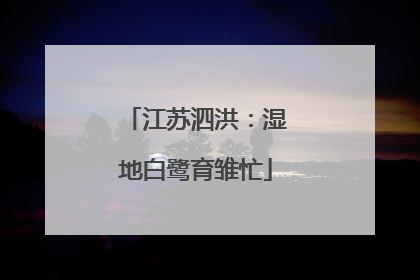 江苏泗洪：湿地白鹭育雏忙