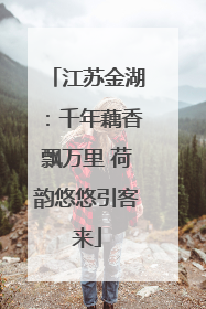 江苏金湖：千年藕香飘万里 荷韵悠悠引客来