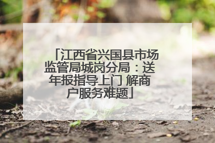 江西省兴国县市场监管局城岗分局：送年报指导上门 解商户服务难题