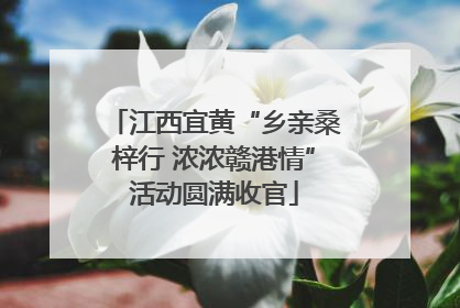 江西宜黄“乡亲桑梓行 浓浓赣港情”活动圆满收官