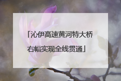 沁伊高速黄河特大桥右幅实现全线贯通