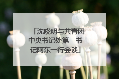 沈晓明与共青团中央书记处第一书记阿东一行会谈