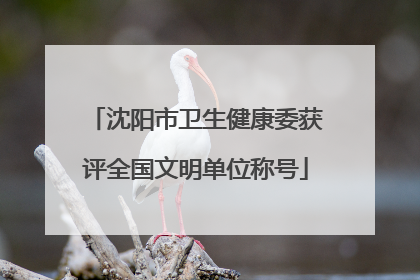 沈阳市卫生健康委获评全国文明单位称号