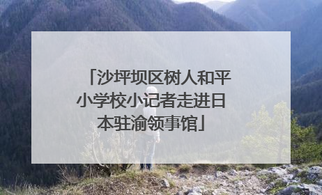 沙坪坝区树人和平小学校小记者走进日本驻渝领事馆