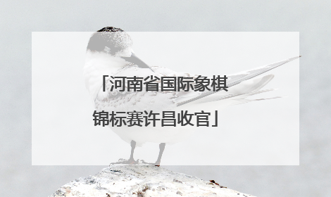河南省国际象棋锦标赛许昌收官