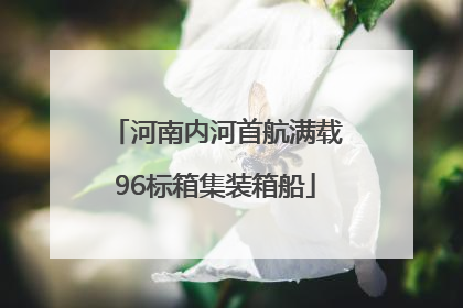 河南内河首航满载96标箱集装箱船