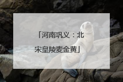 河南巩义：北宋皇陵麦金黄
