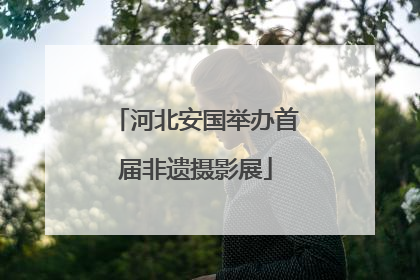 河北安国举办首届非遗摄影展
