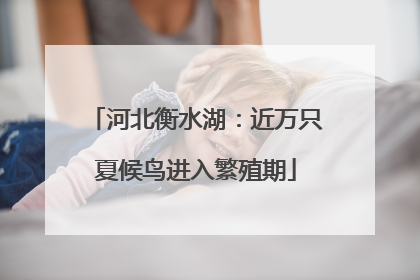 河北衡水湖：近万只夏候鸟进入繁殖期