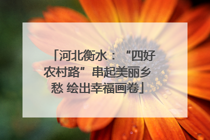 河北衡水：“四好农村路”串起美丽乡愁 绘出幸福画卷