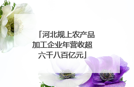 河北规上农产品加工企业年营收超六千八百亿元