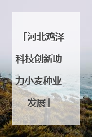 河北鸡泽科技创新助力小麦种业发展