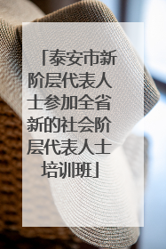 泰安市新阶层代表人士参加全省新的社会阶层代表人士培训班