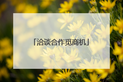洽谈合作觅商机
