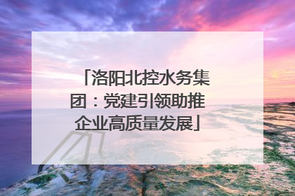 洛阳北控水务集团：党建引领助推企业高质量发展