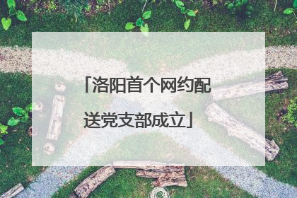 洛阳首个网约配送党支部成立