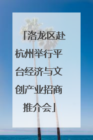 洛龙区赴杭州举行平台经济与文创产业招商推介会