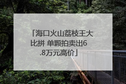 海口火山荔枝王大比拼 单颗拍卖出6.8万元高价