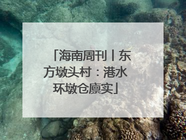 海南周刊丨东方墩头村：港水环墩仓廪实