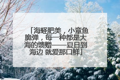 海蛏肥美，小章鱼脆弹，每一种都是大海的馈赠——夏日到海边 就爱那口鲜