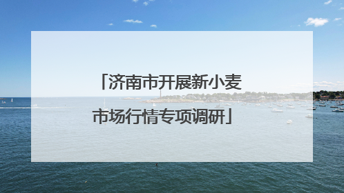 济南市开展新小麦市场行情专项调研