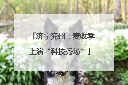 济宁兖州：麦收季上演“科技秀场”
