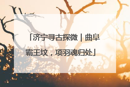 济宁寻古探微｜曲阜霸王坟，项羽魂归处